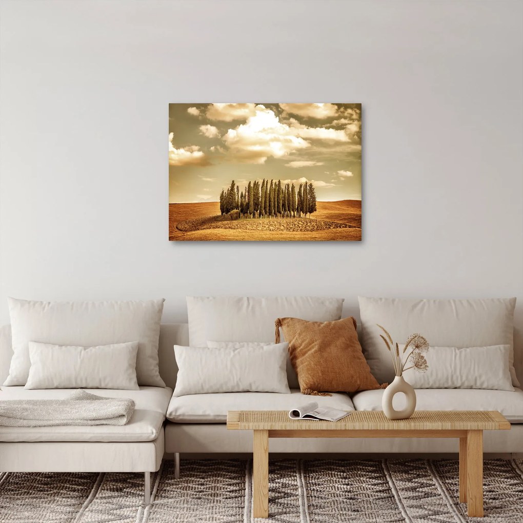 Obraz leśnej łąki (70x50 cm)