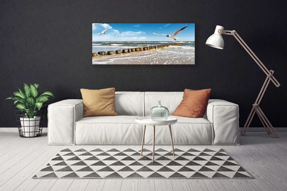 Zdjęcie na płótnie Mewy nad Morskim Brzegiem