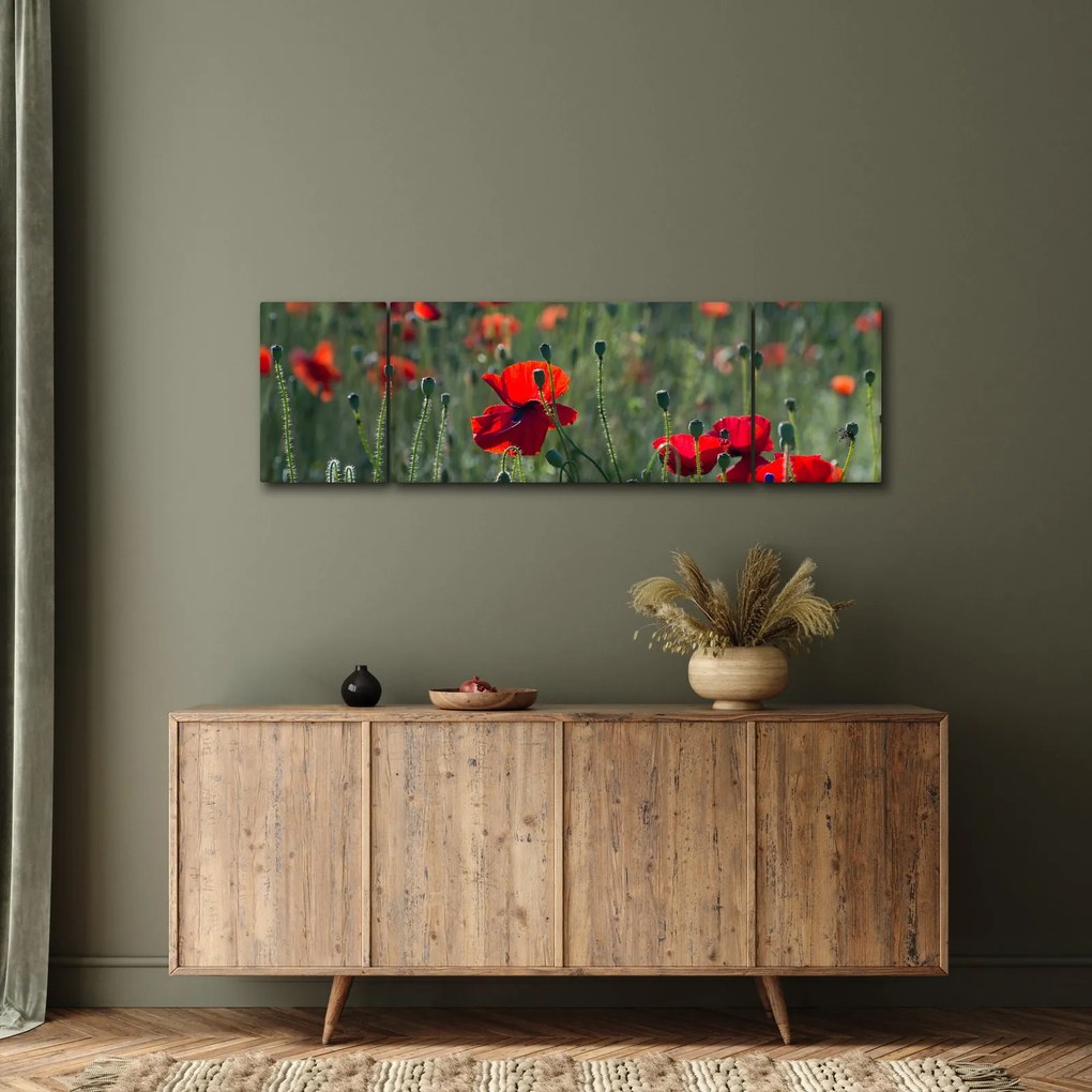 Obraz - Łąka z makami (170x50 cm)