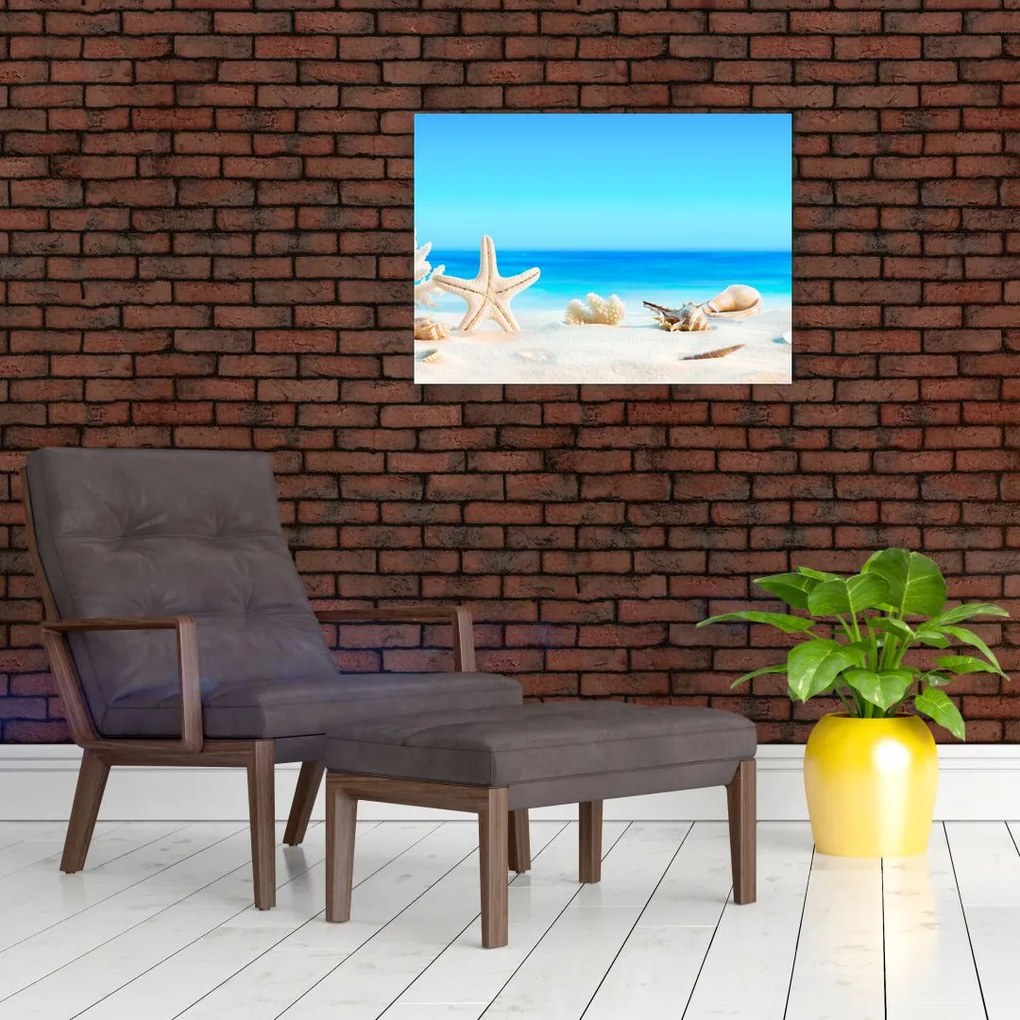 Obraz na szkle - Martwa natura z muszelkami (70x50 cm)