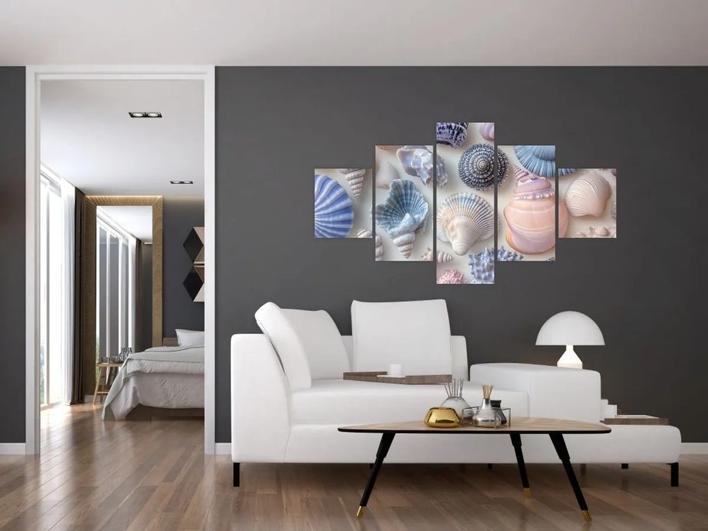 Obraz - Kolekcja muszli (125x70 cm)