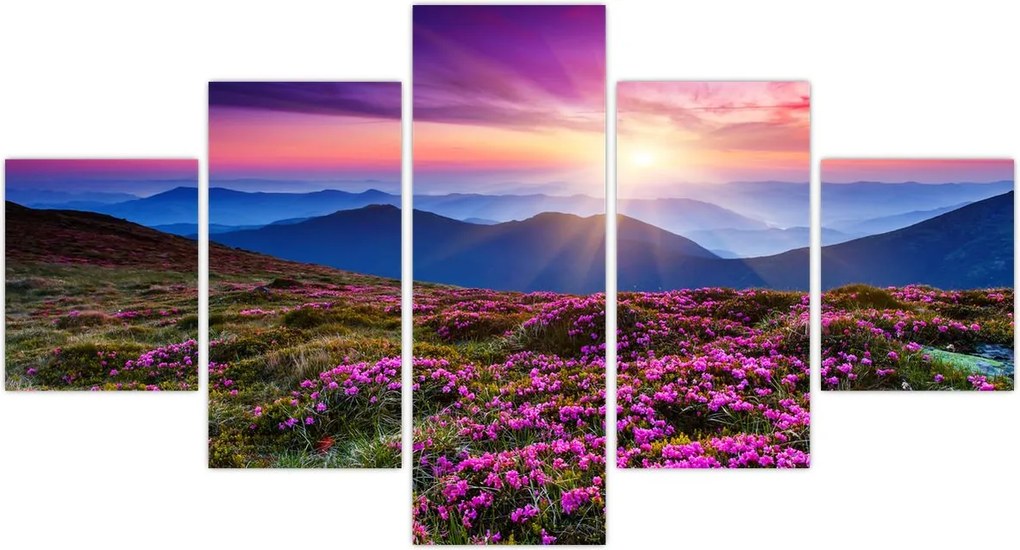 Obraz - Krajobraz kwitnących gór (125x70 cm)