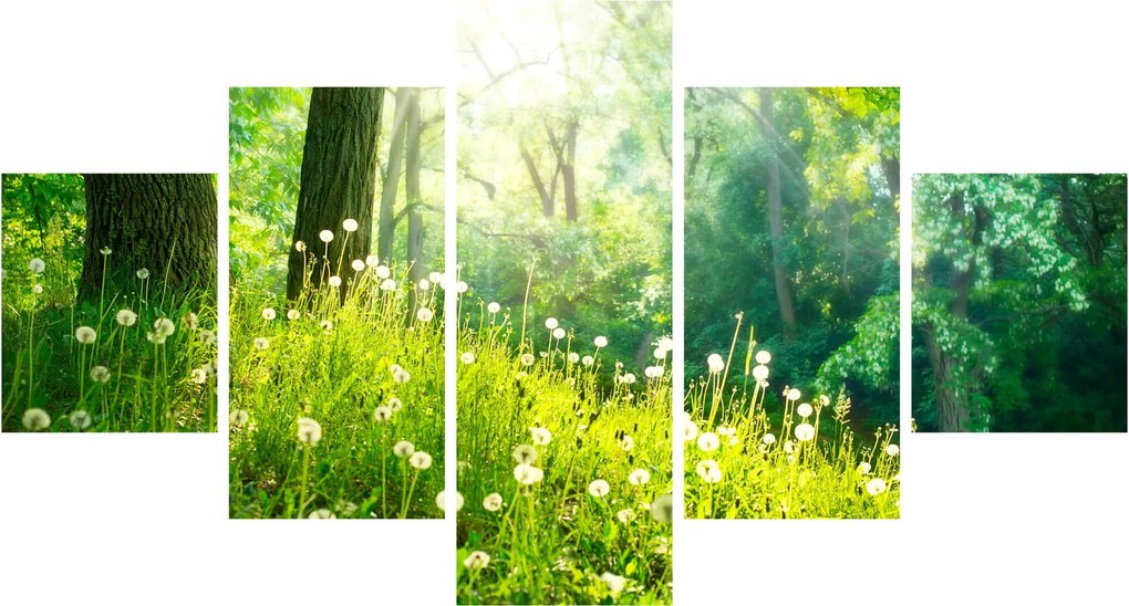 Obraz - Magiczna łąka pełna mniszków lekarskich (125x70 cm)