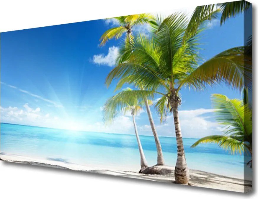 Zdjęcie na płótnie Tropikalny Raj pod Palmą