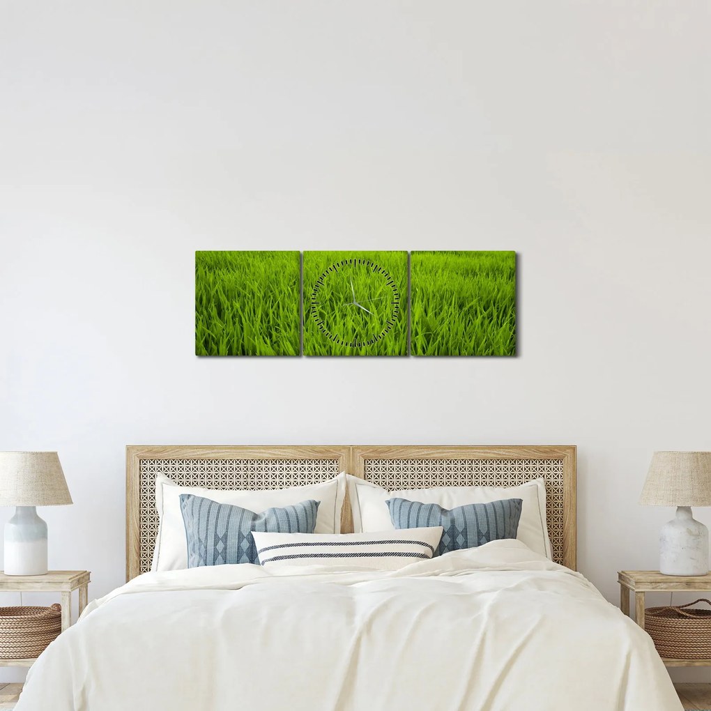 Obraz trawy (z zegarem) (90x30 cm)