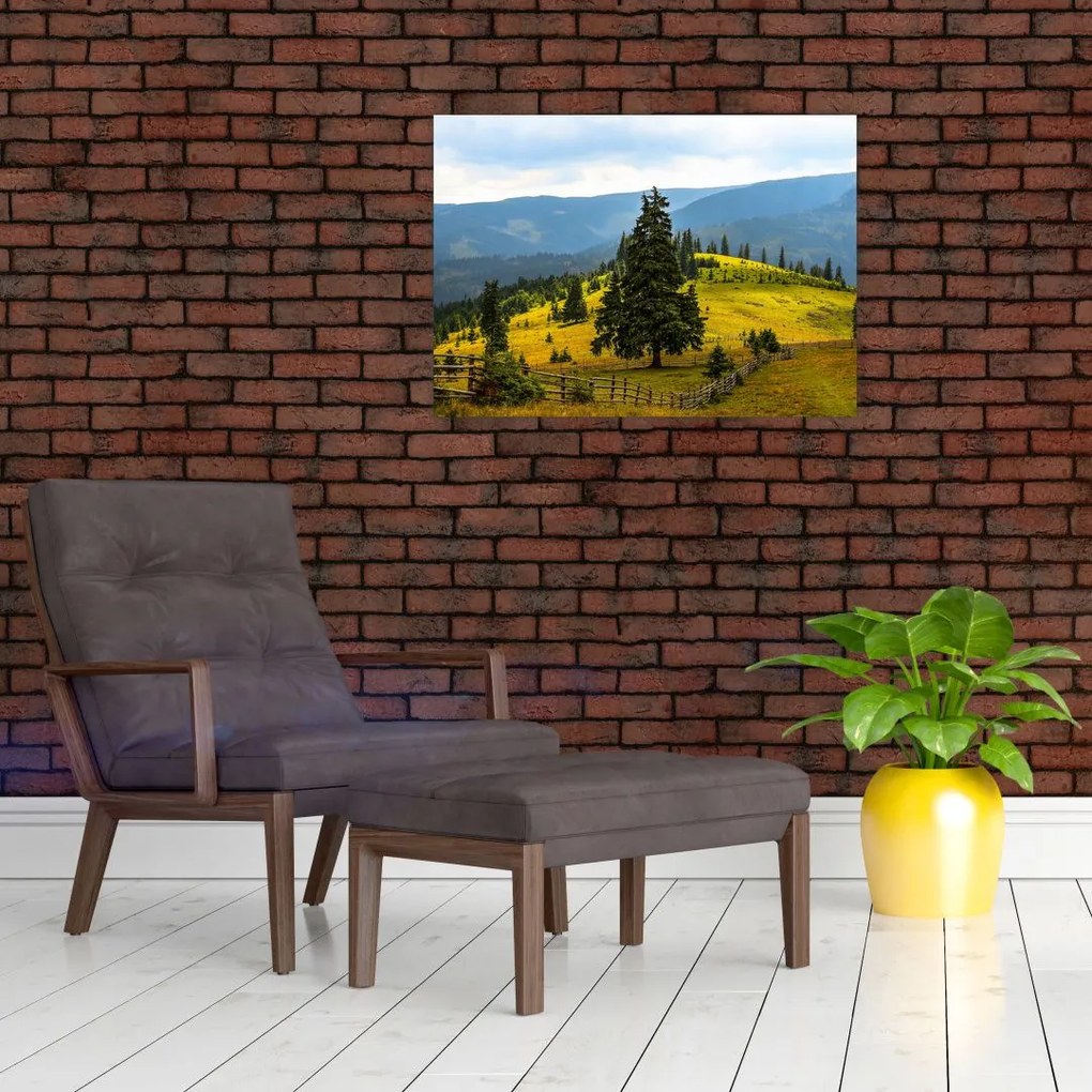Obraz na szkle - Górska łąka (70x50 cm)