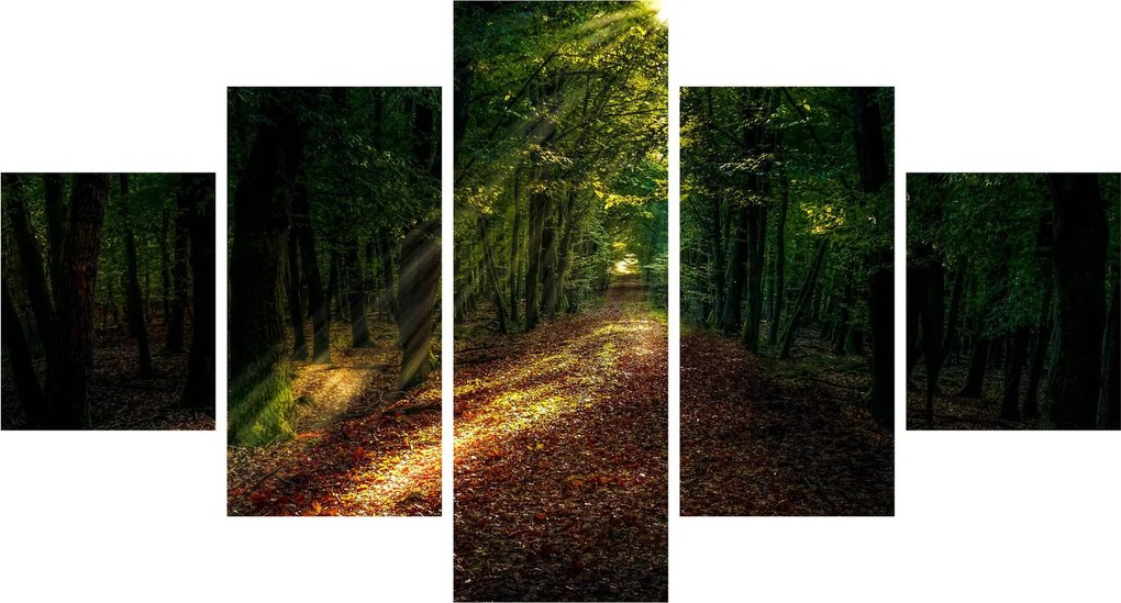 Obraz leśnej ścieżki (125x70 cm)