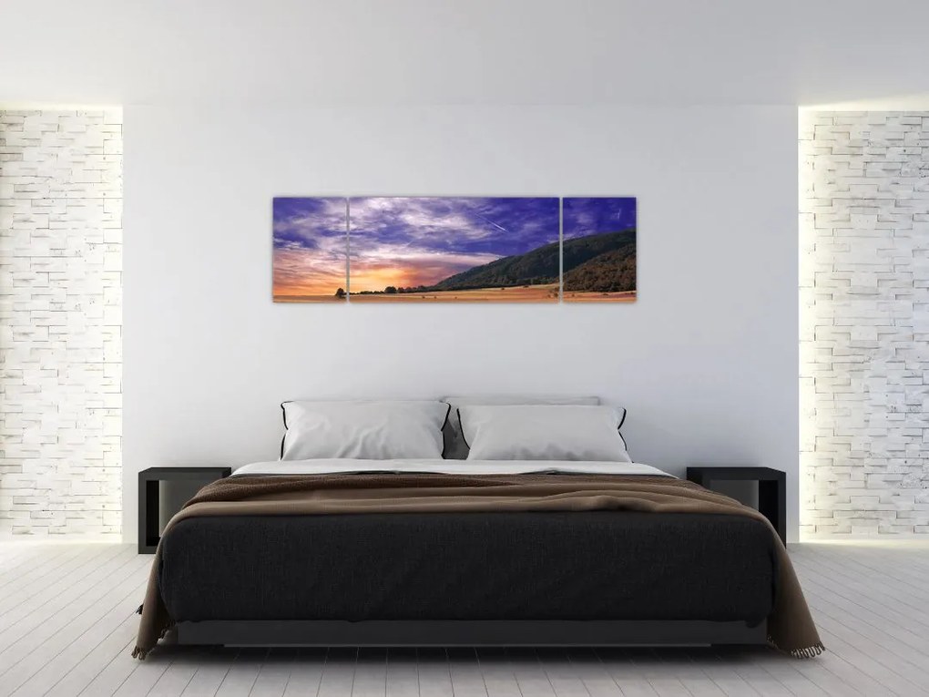 Obraz lawendowej łąki (170x50 cm)