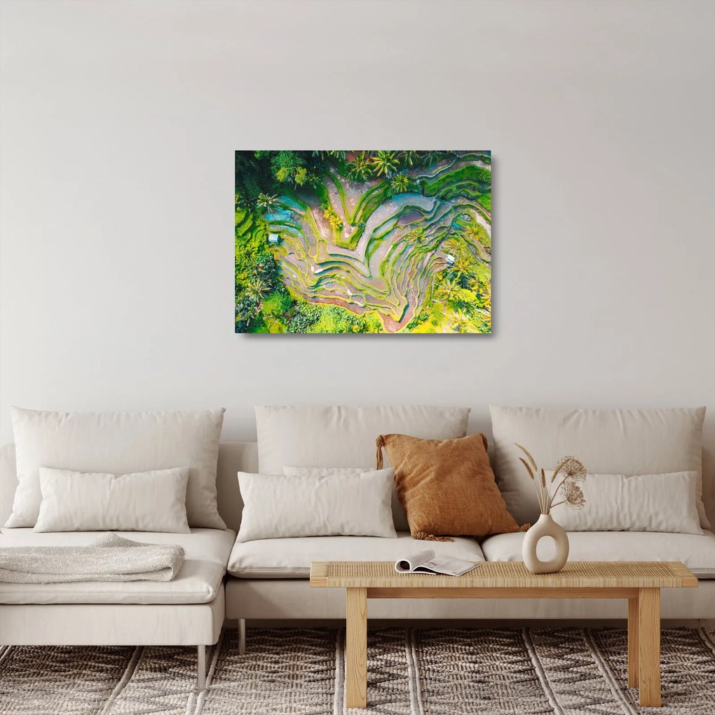 Obraz na szkle pól ryżowych z lotu ptaka (70x50 cm)