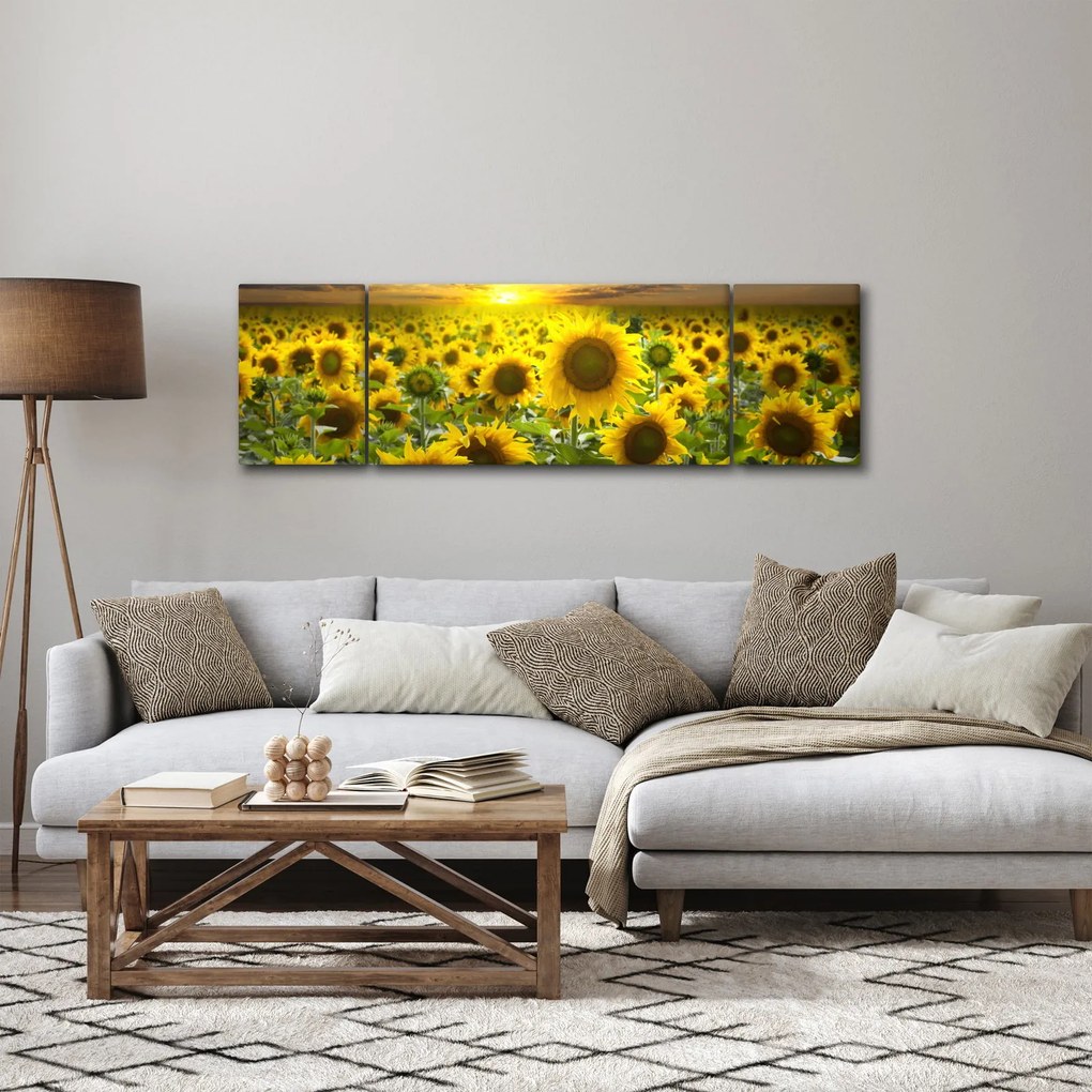 Obraz - Słoneczniki o zachodzie słońca (170x50 cm)