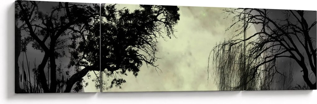 Obraz - Księżyc w pełni nad powierzchnią, wersja czarno - biała (170x50 cm)