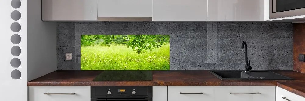 Panel dekor szkło Zielona łąka