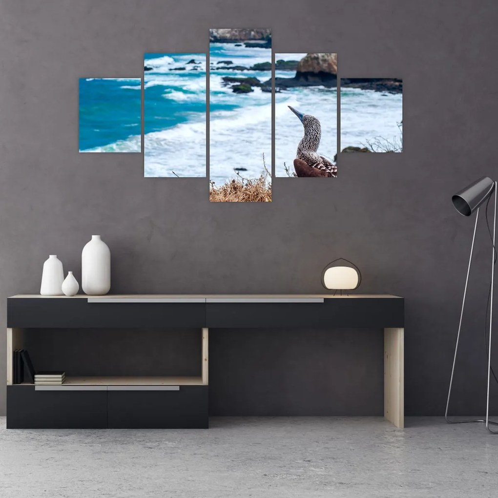 Obraz - głuptak niebieskonogi (125x70 cm)