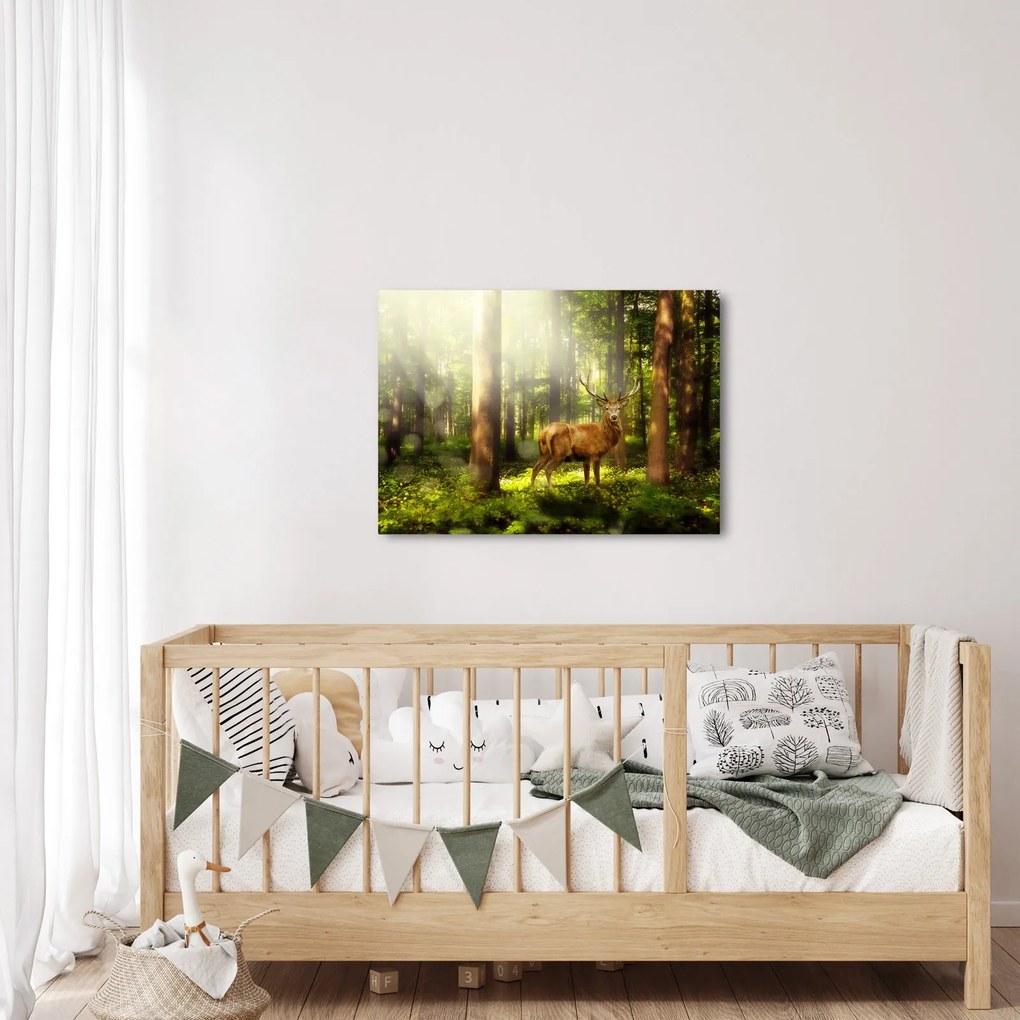 Obraz jelenia w lesie (70x50 cm)
