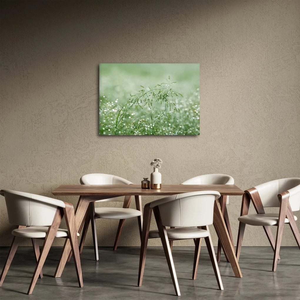 Obraz - Rosa na trawie (70x50 cm)