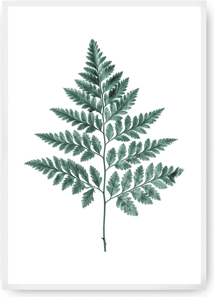 Plakat Fern Emerald Green