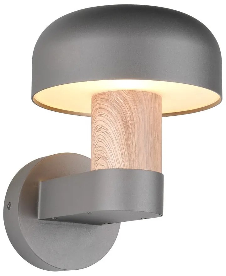 Zewnętrzna lampa ścienna (wysokość 24,5 cm) Fraser – Trio