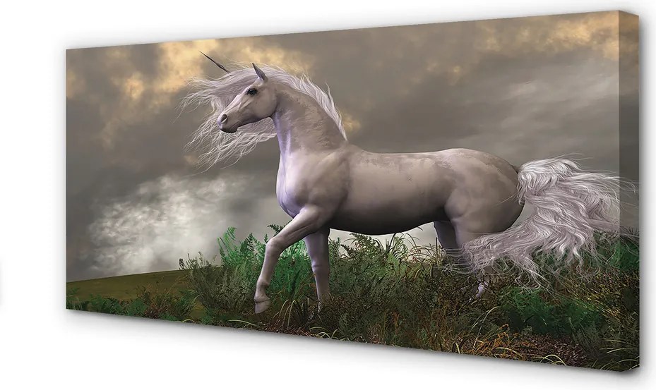 Obraz drukowany na płótnie Jednorożec w Obłokach
