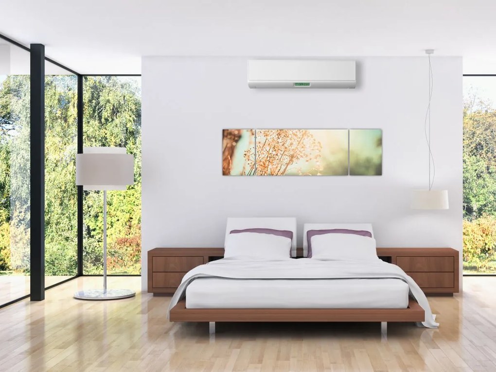 Obraz - Rośliny po deszczu (170x50 cm)
