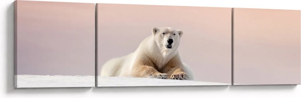 Obraz - Niedźwiedź polarny (170x50 cm)