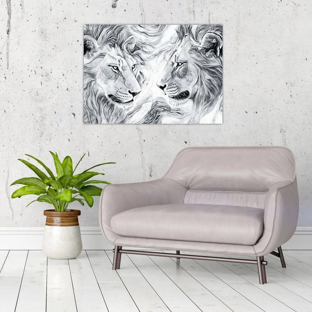 Obraz na szkle - Rysowane lwie głowy (70x50 cm)