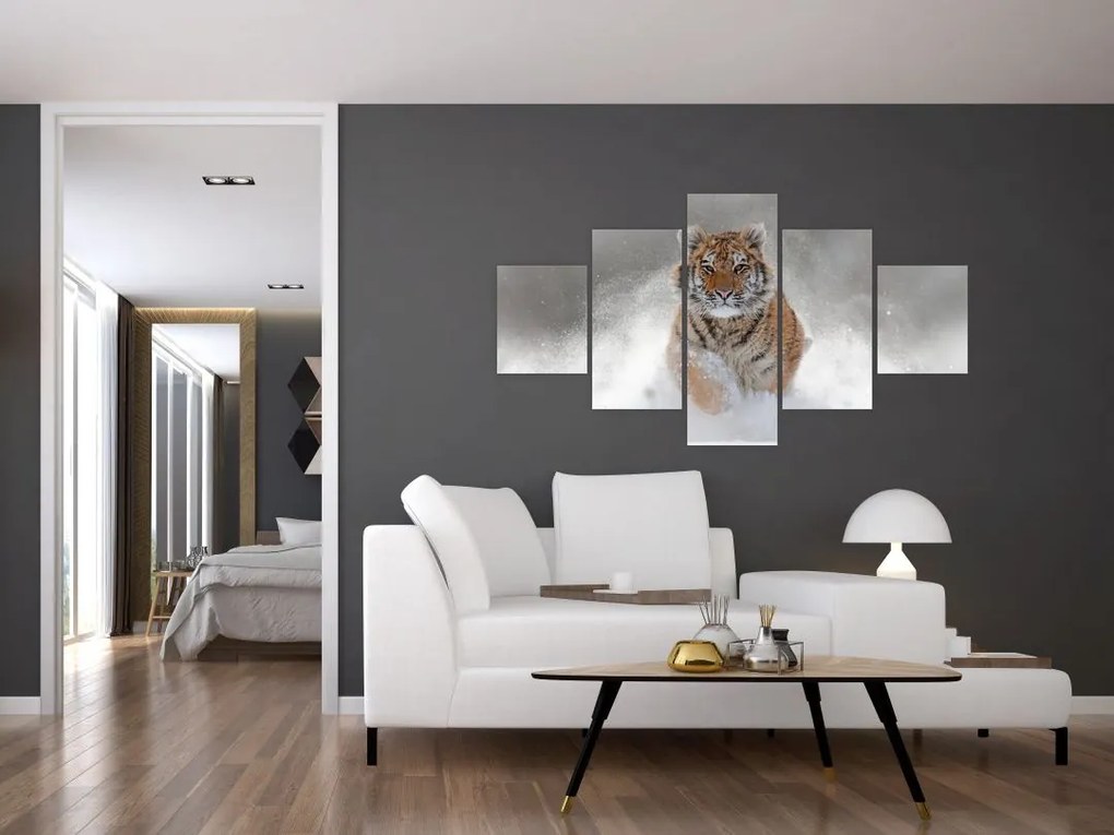 Obraz tygrysa biegnącego po śniegu (125x70 cm)