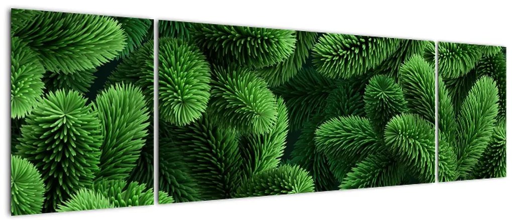 Obraz - Gałązki drzew iglastych (170x50 cm)