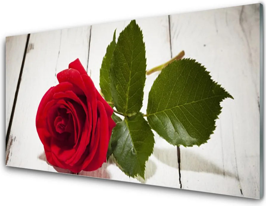 Panel Szklany Klasyczna Czerwona Róża