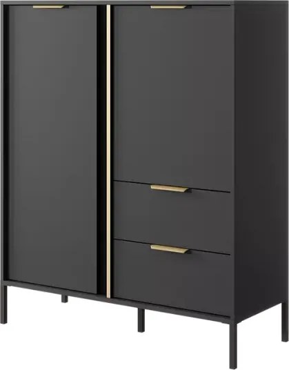 Komoda Zante – elegancka komoda w kolorze antracytowym ze złotymi detalami, 2-drzwiowa z 2 szufladami