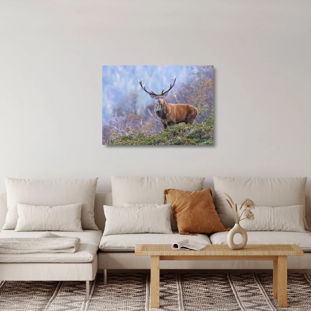 Obraz na szkle - Jeleń w krajobrazie (70x50 cm)