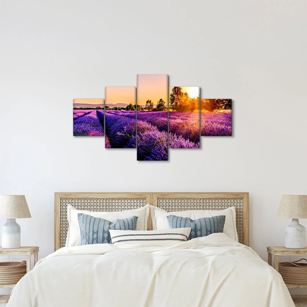 Obraz lawendowego pola (125x70 cm)