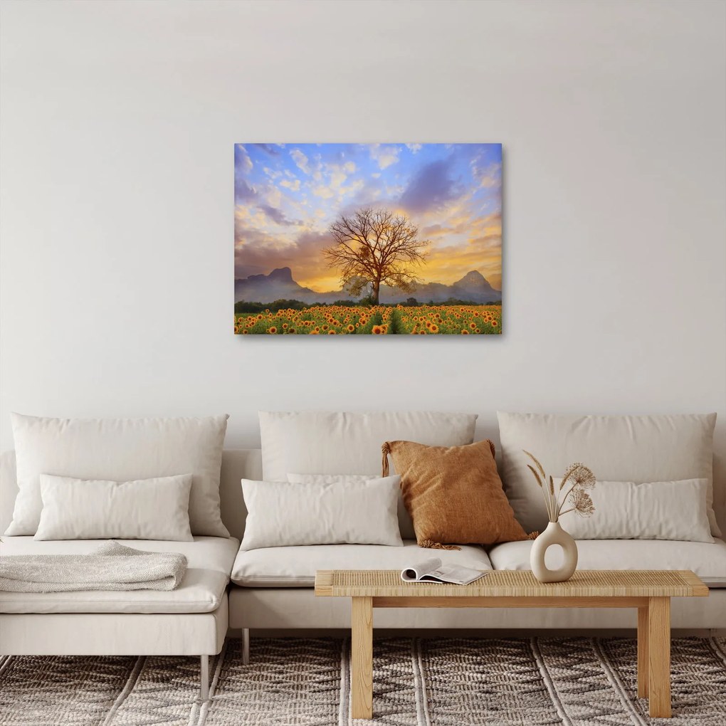 Obraz - Pejzaż ze słonecznikami (70x50 cm)