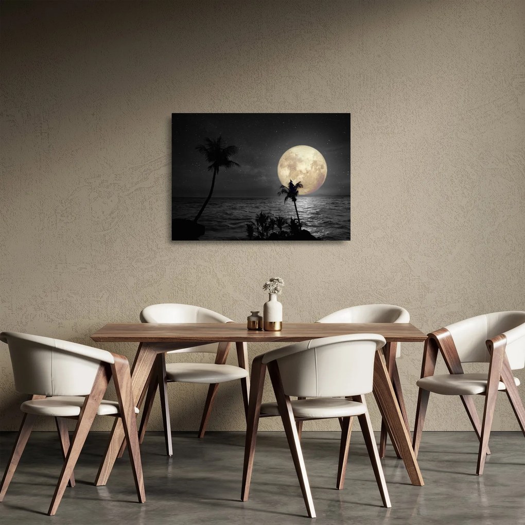 Obraz na szkle - Plaża pod pełnią księżyca w odcieniach szarości (70x50 cm)