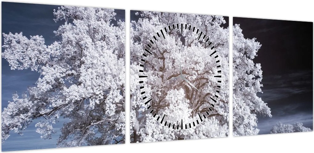 Obraz - Śnieżnobiałe drzewo (z zegarem) (90x30 cm)