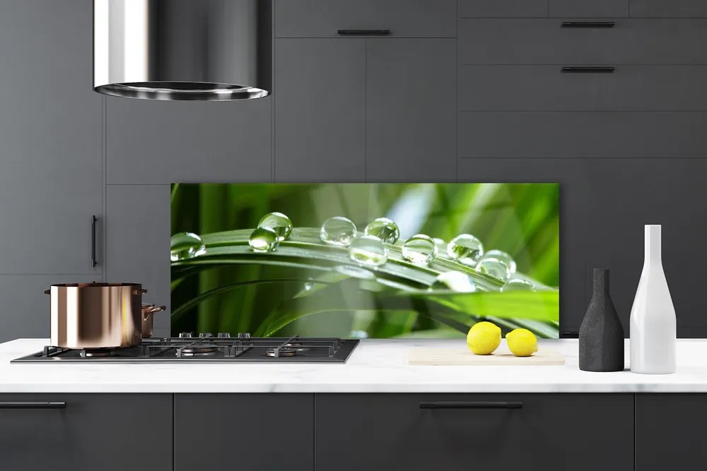 Panel Szklany do Kuchni Krople Rosy na Źdźbłach