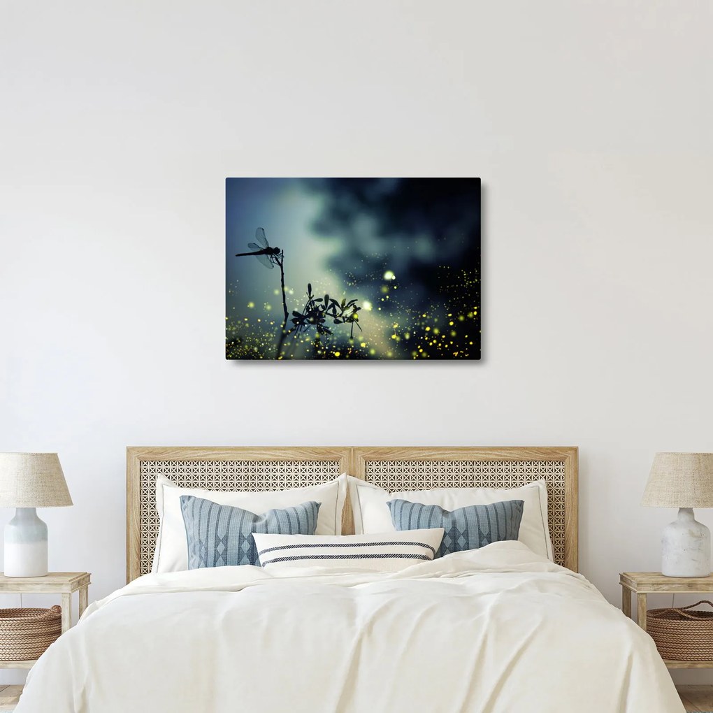Obraz - Ważka w błyszczącej nocy (70x50 cm)