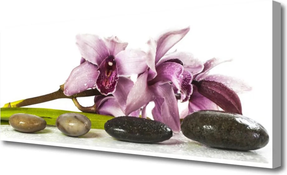 Obraz canvas Harmonijna Roślina i Kamienie