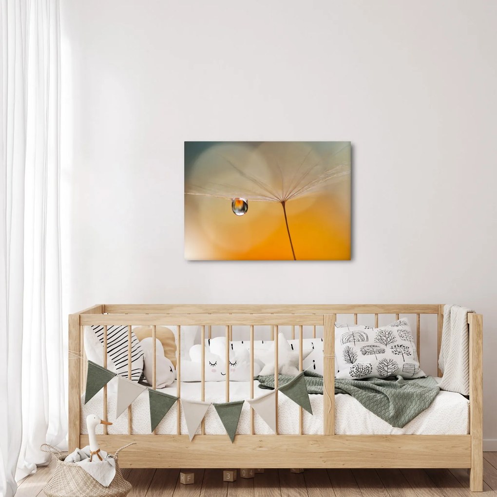 Obraz - Makro kwiat (70x50 cm)
