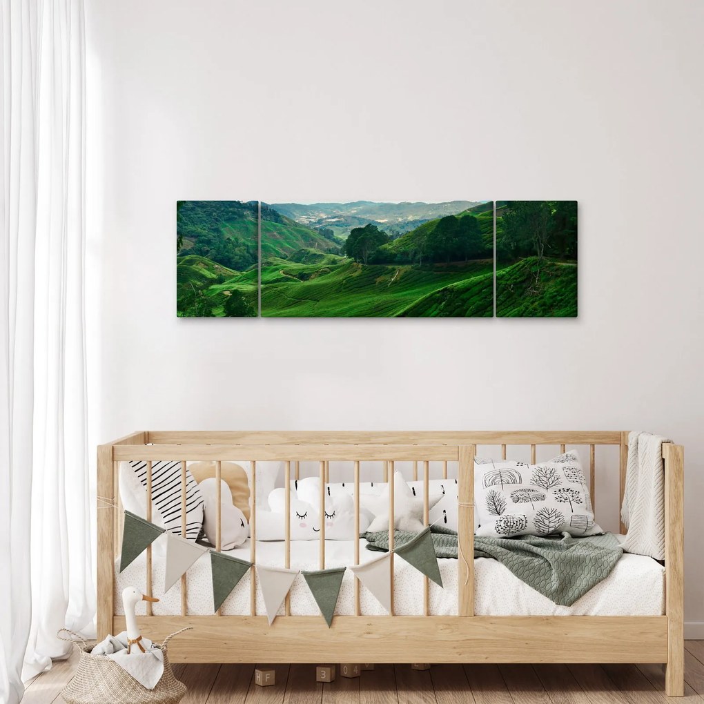 Obraz - Plantacje herbaty w Malezji (170x50 cm)