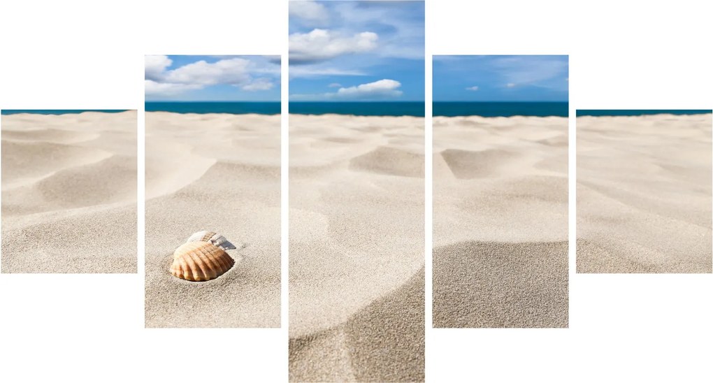 Obraz - Muszle na plaży (125x70 cm)
