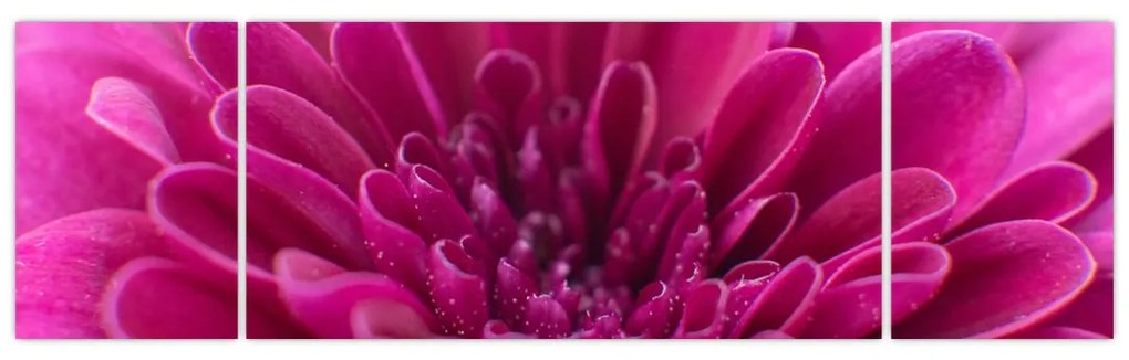 Obraz kwiatu (170x50 cm)