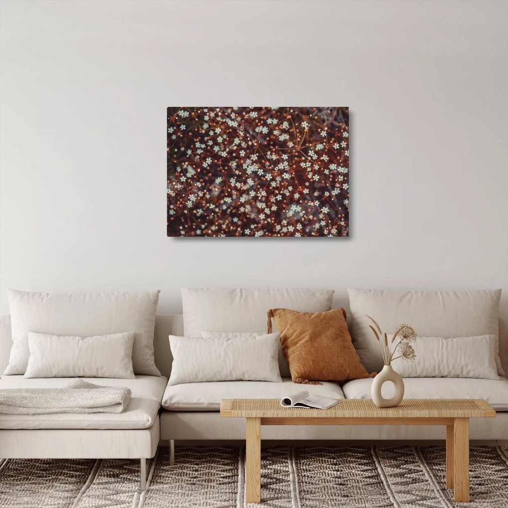 Obraz na szkle - kwiat niezapominajki (70x50 cm)
