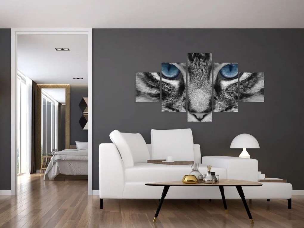 Obraz kota (125x70 cm)