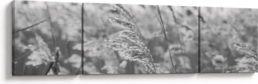 Obraz - Trawa na wietrze (170x50 cm)
