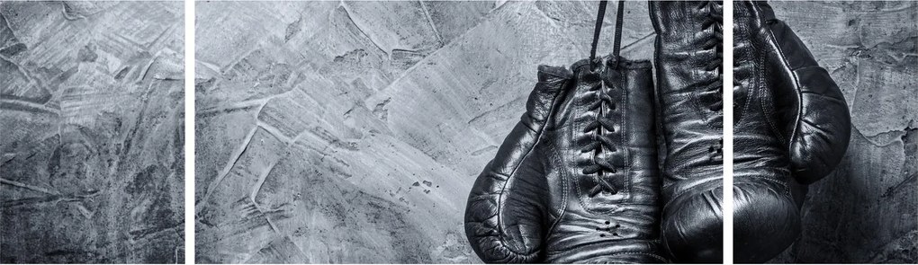 Obraz - Rękawice bokserskie (170x50 cm)