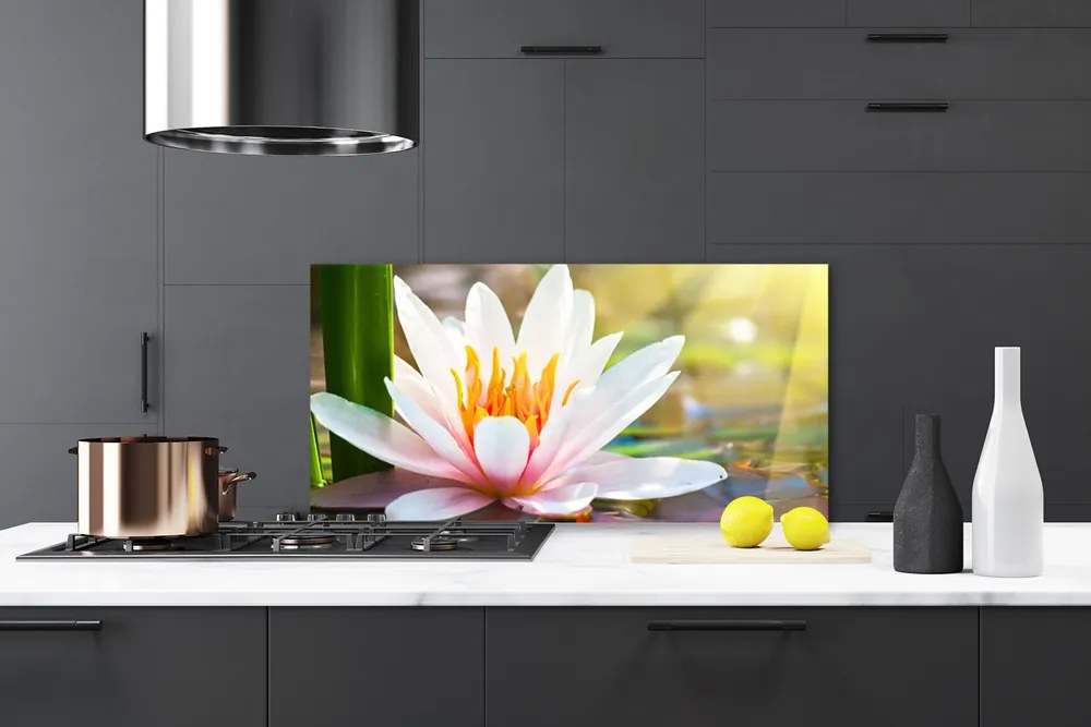 Panel Kuchenny Pełnia Letniego Rozkwitu