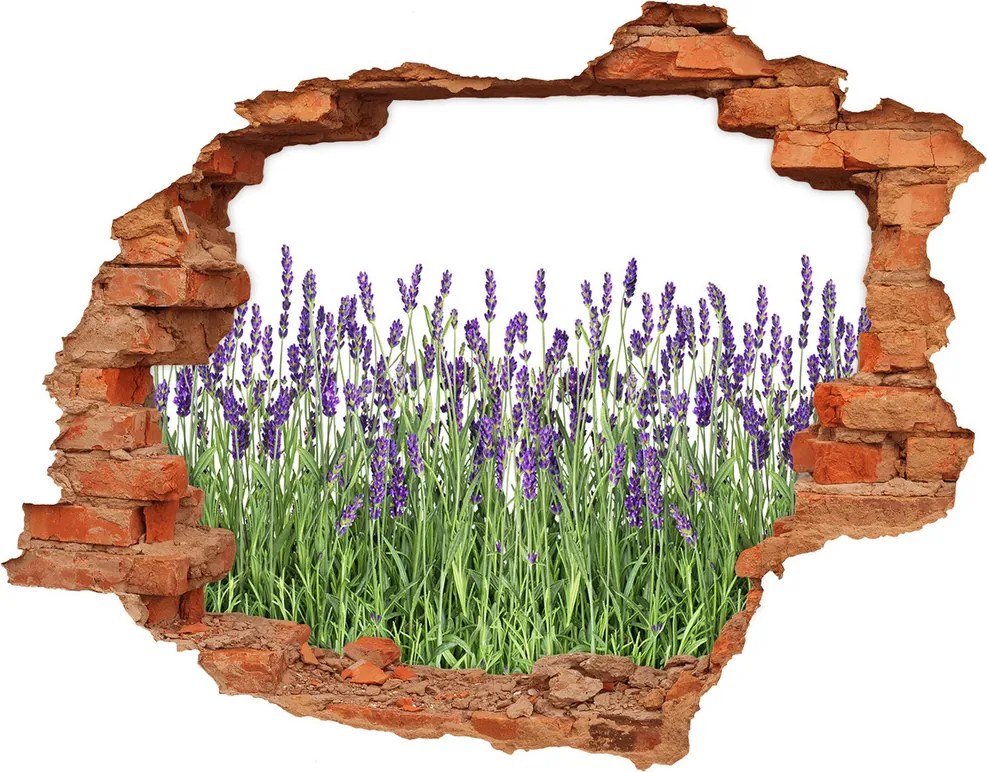 Samoprzylepna naklejka fototapeta Kwiaty lawendy
