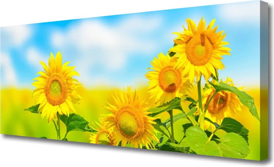 Obraz canvas Złoty Słonecznik w Detalu