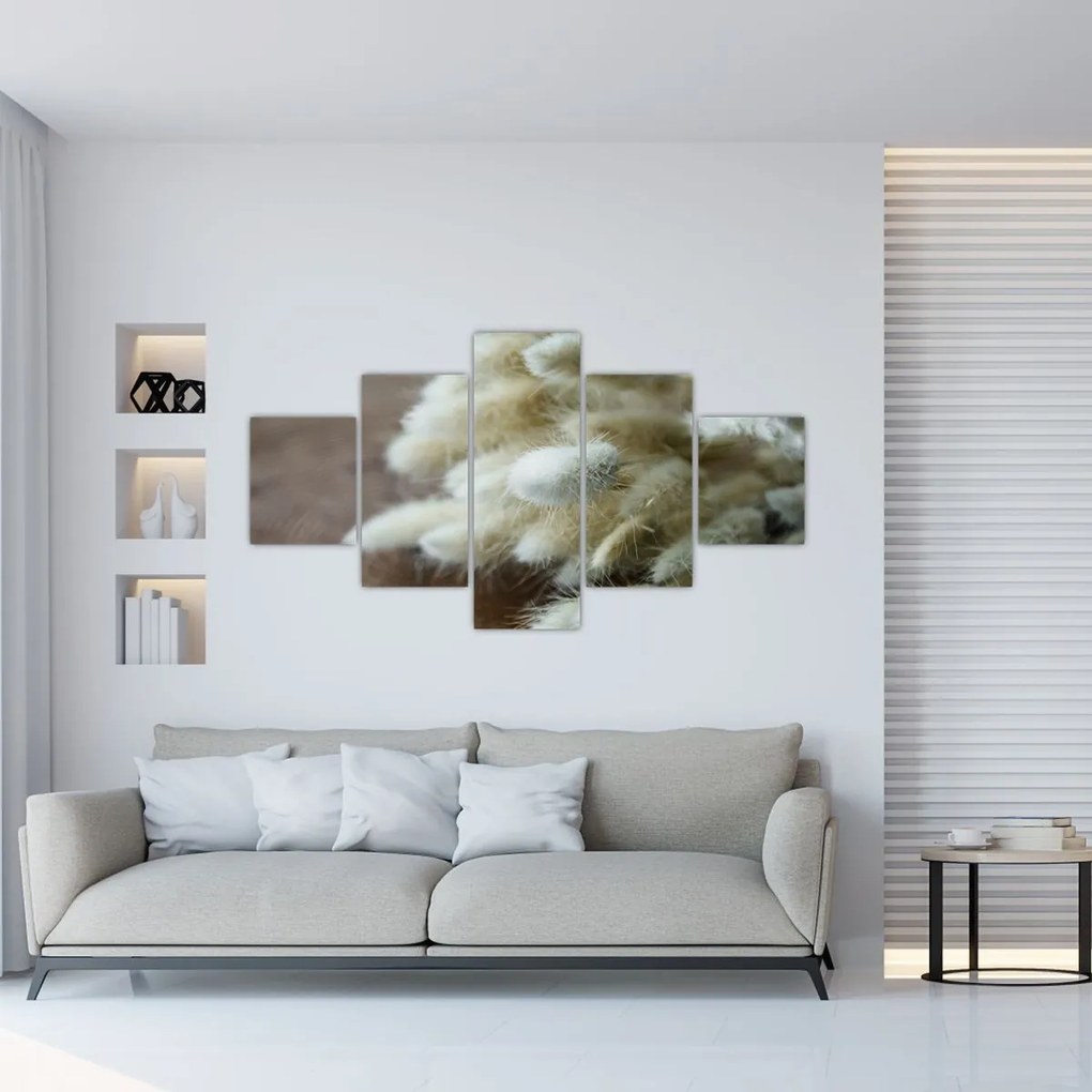 Obraz - Zajęczy ogonek (125x70 cm)