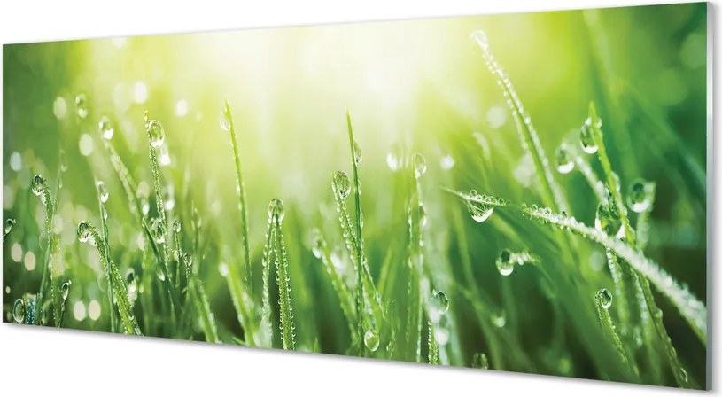 Szklany Panel Krople Rosy w Słońcu